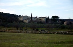 DSC_8821