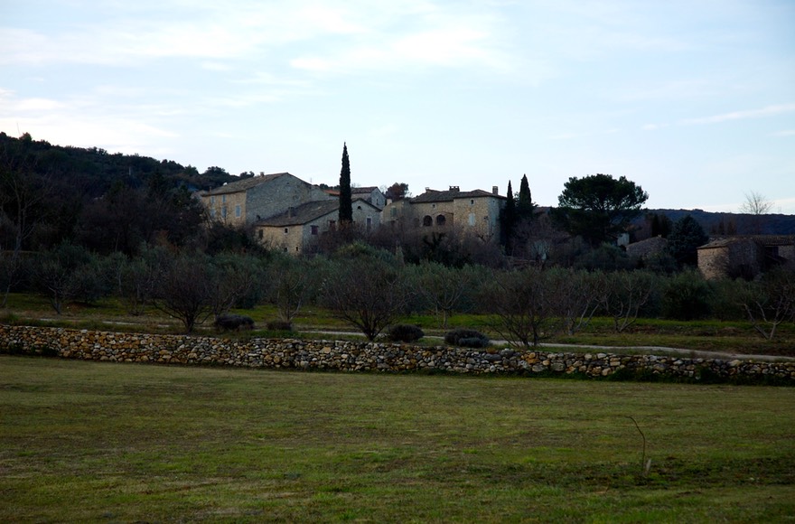 DSC 8821